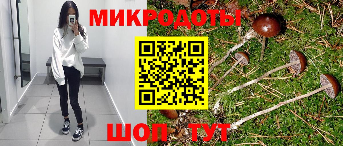 Дальнереченск  Галлюциногенные грибы Psilocybe  Вход с VPN 